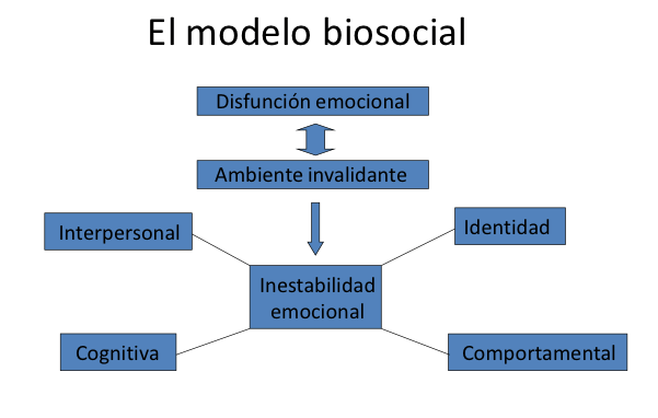 esquema modelo biosocial